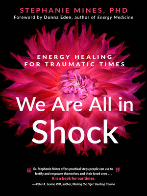 cover image of We Are All in Shock